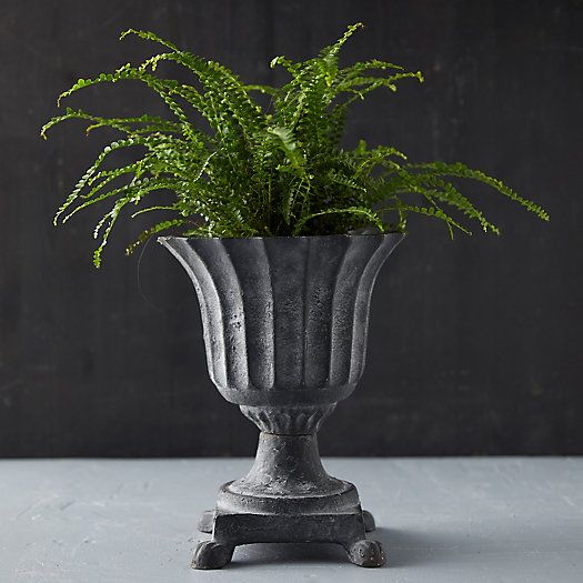 Cast Iron Footed Urn | Terrain