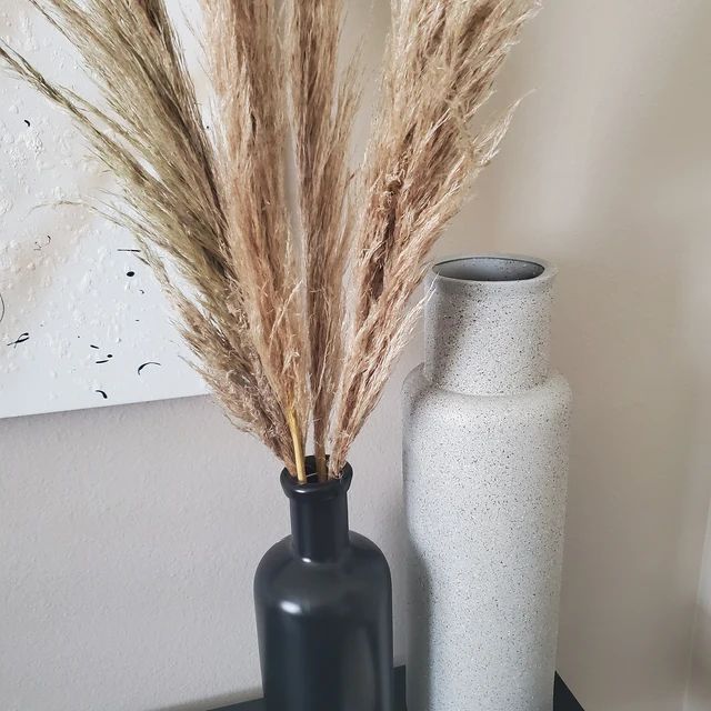 Pampas Grass - 10 stems - Natural - Dry Flower - Boho - Wedding - Home Decor | Etsy (US)