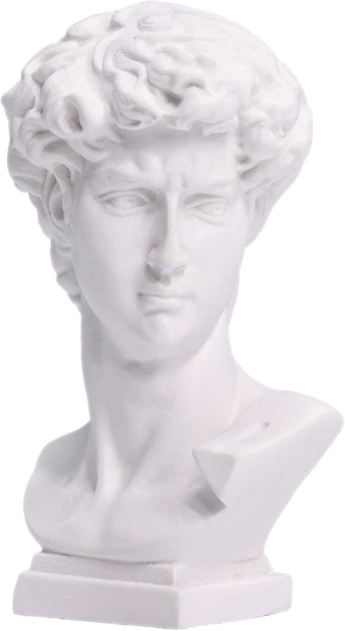 Waldosia 2.5'' Greek Statuette - Michelangelo's David Bust Figurine | Amazon (US)