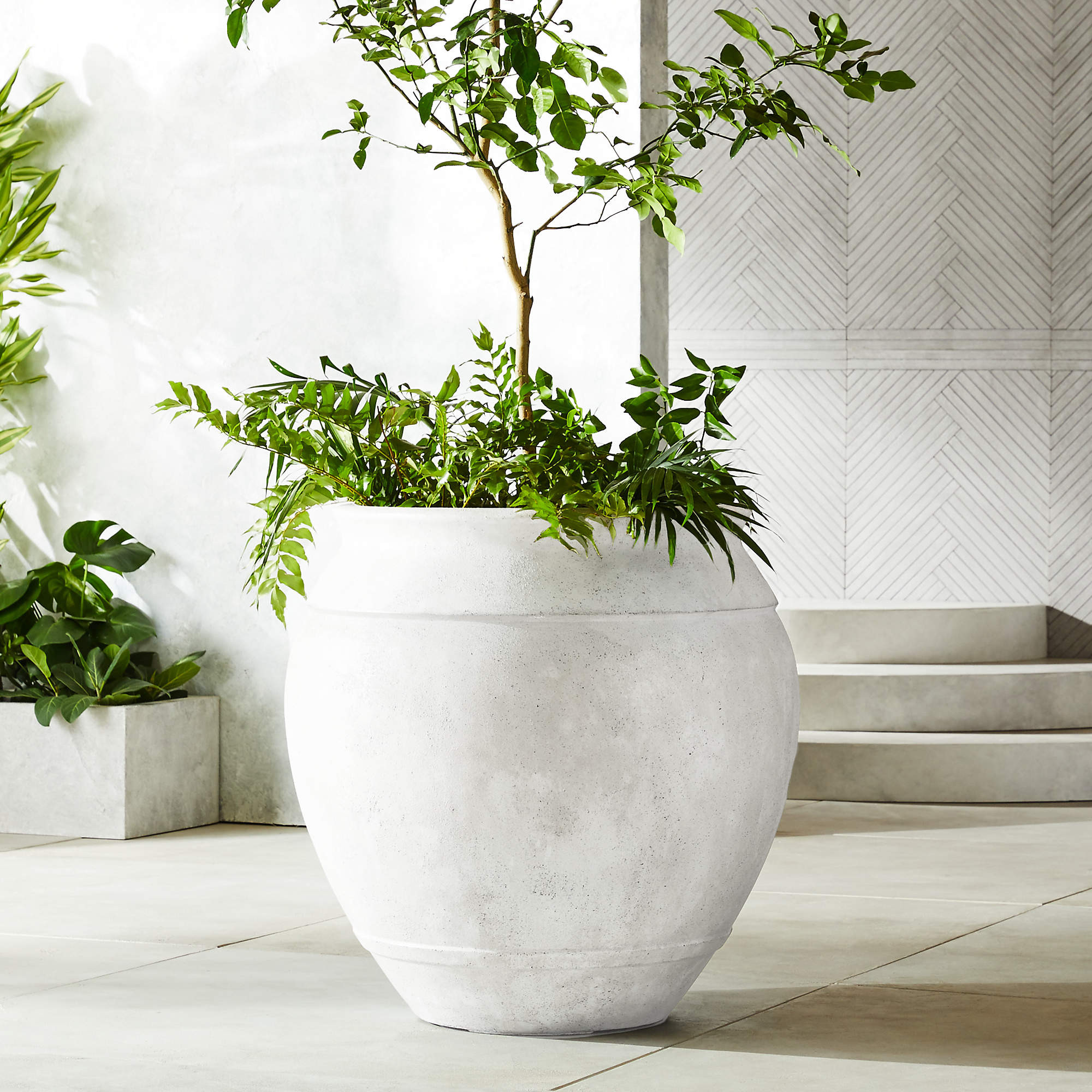 Belly Round White Resin Indoor/Outdoor XL Planter 33.5"H + Reviews | CB2 | CB2