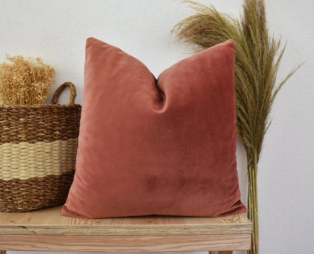 Dusty Rose Soft Velvet Pillow Coversolid Color Luxury Velvet - Etsy | Etsy (US)