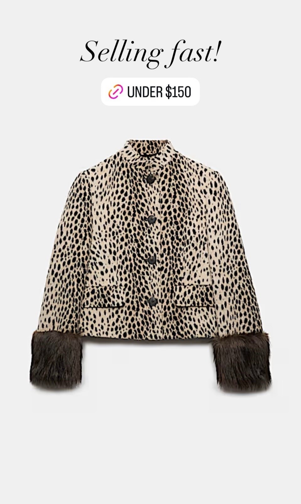 Animal Print Faux Fur Trim Funnel Neck Coat for under $150