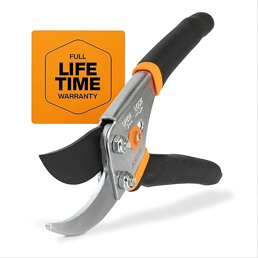 Fiskars Bypass Pruning Shears, 5/8-Inch Cut Capacity Garden Clippers, Gardening Scissors with Sha... | Amazon (US)