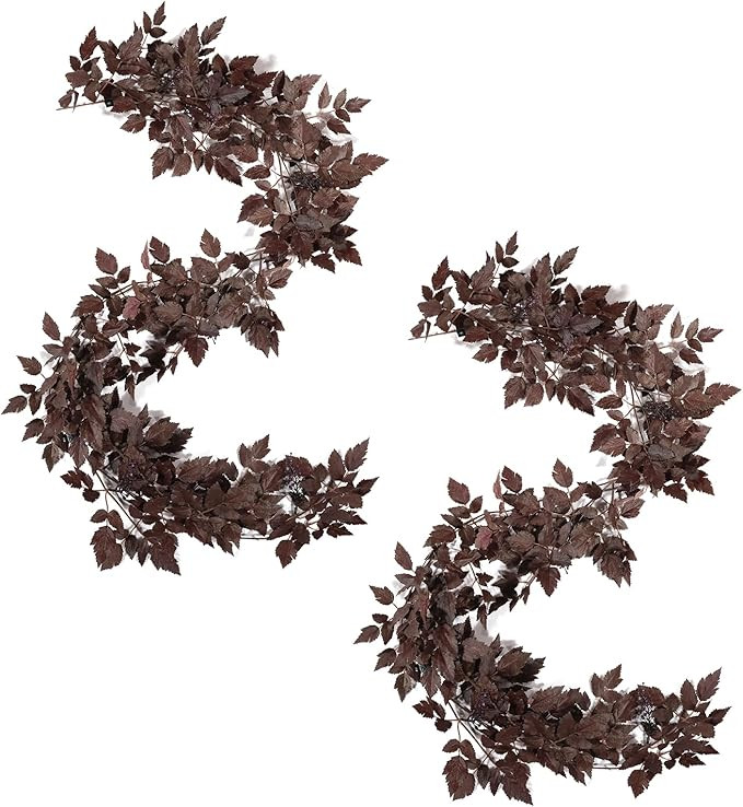 WBHome Artificial Cimicifuga Seeded Garland 6Ft - 2 Pack | Amazon (CA)