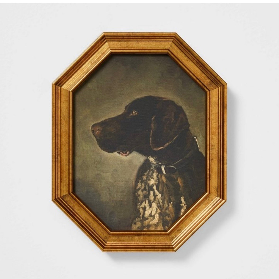 GSP framed art from target!🤎 

#LTKFindsUnder50 #LTKHome #LTKPets