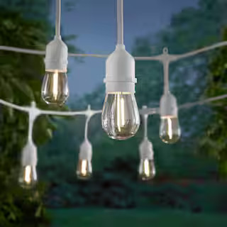 12-Light 24 ft. Indoor/Outdoor Plug-In Edison Bulb String Light with S14 Single Filament LED Bulb... | The Home Depot
