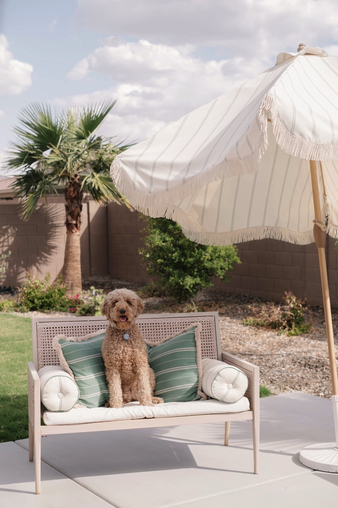 Dog days in the backyard 🐶☀️
#ltkhome #outdoorfurniture #targetstyle #studiomcgee 