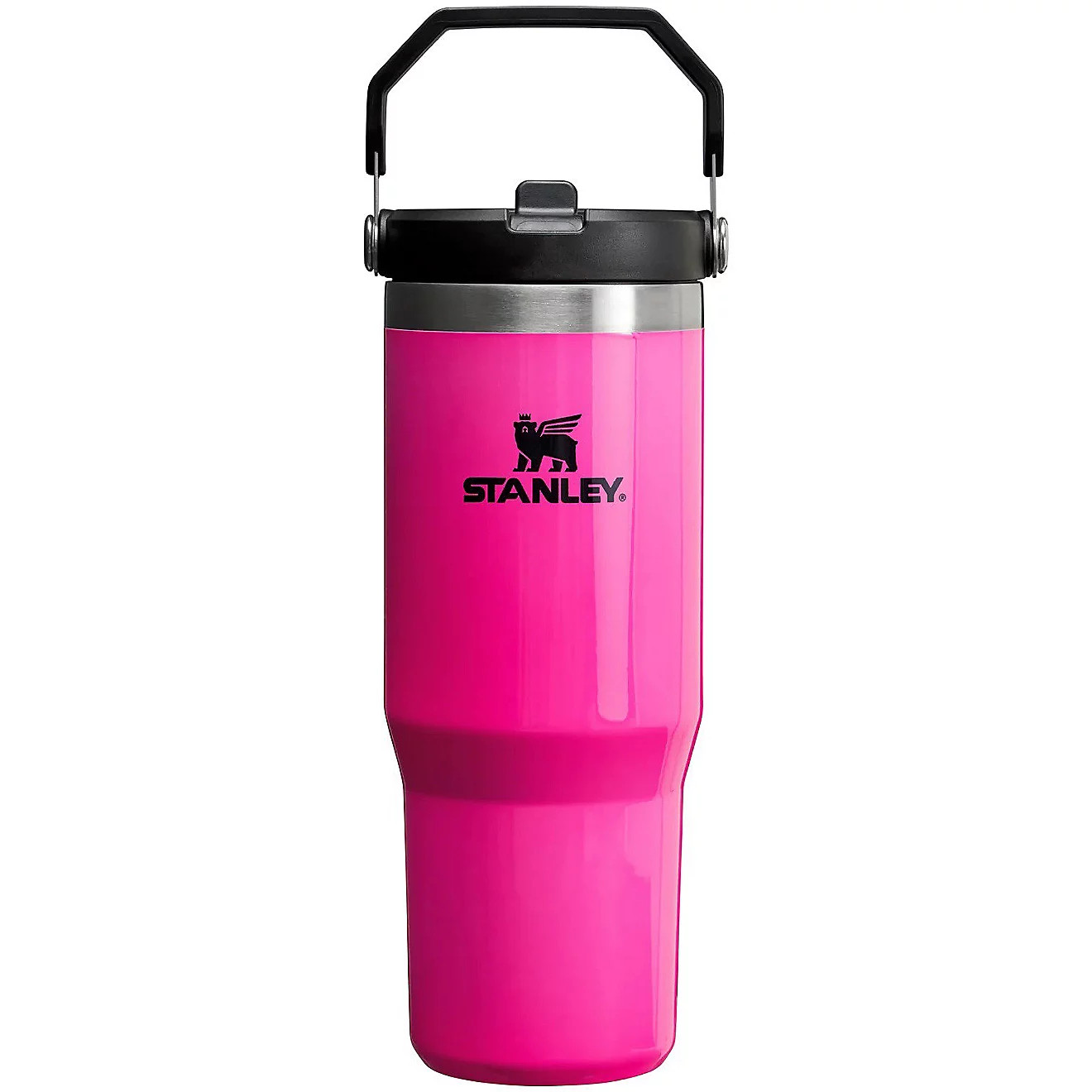 Stanley The IceFlow 30 oz Classic Flip Straw Tumbler | Academy | Academy Sports + Outdoors