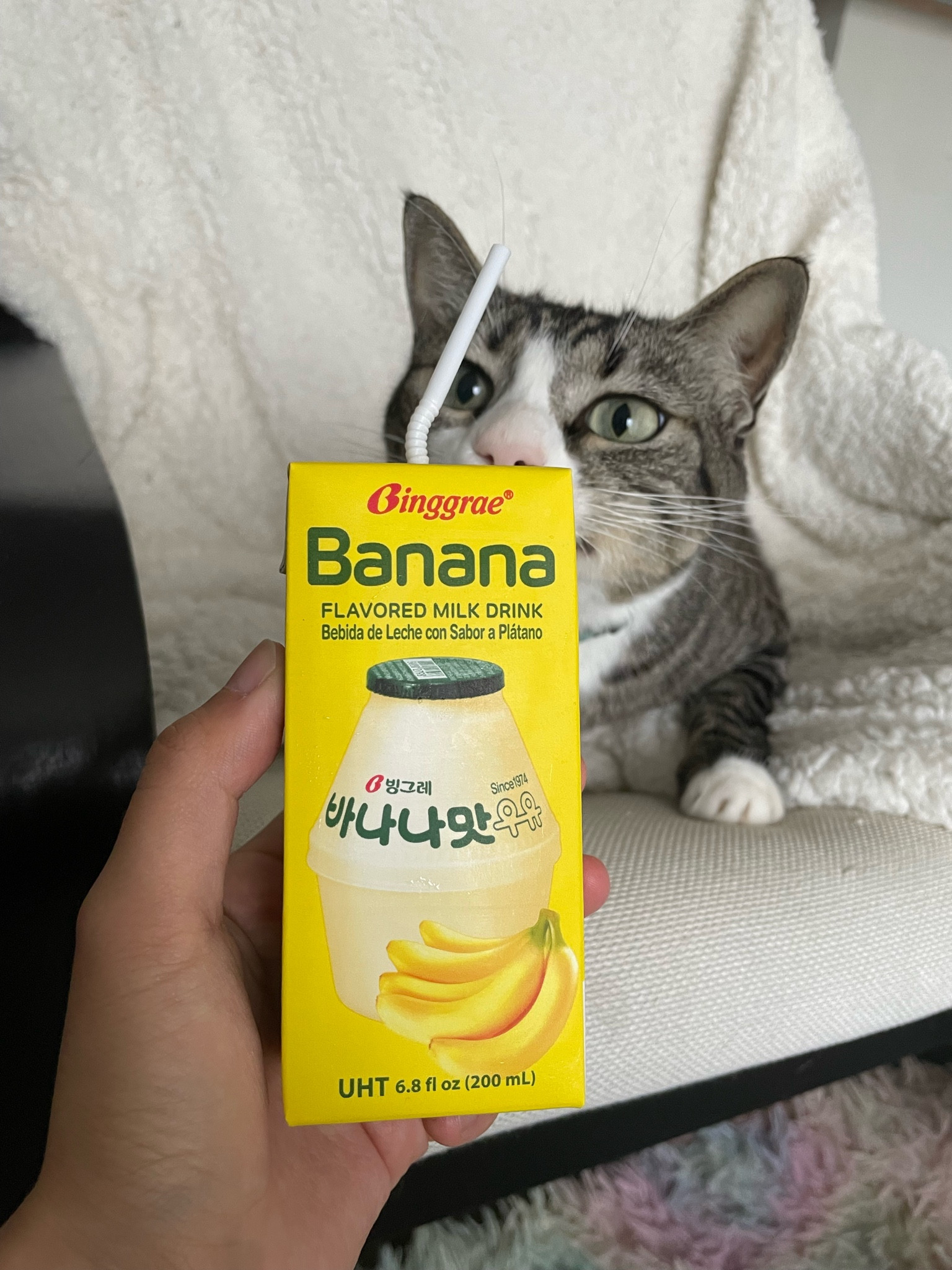 New year’s resolution! Let’s get hydrated🩵 Here are our recommendations to help you stay hydrated 😊 wish us good luck ✨

#LTKtravel #LTKfitness #LTKSeasonal