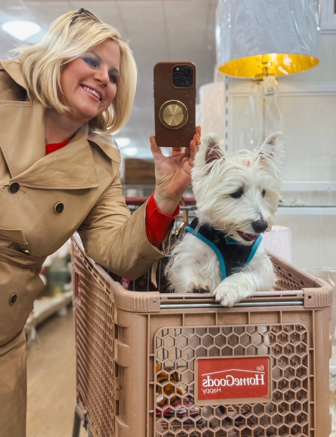 World's cutest shopping pal. 🐶🐾

#LTKWorkwear #LTKdayinmylife #LTKSeasonal