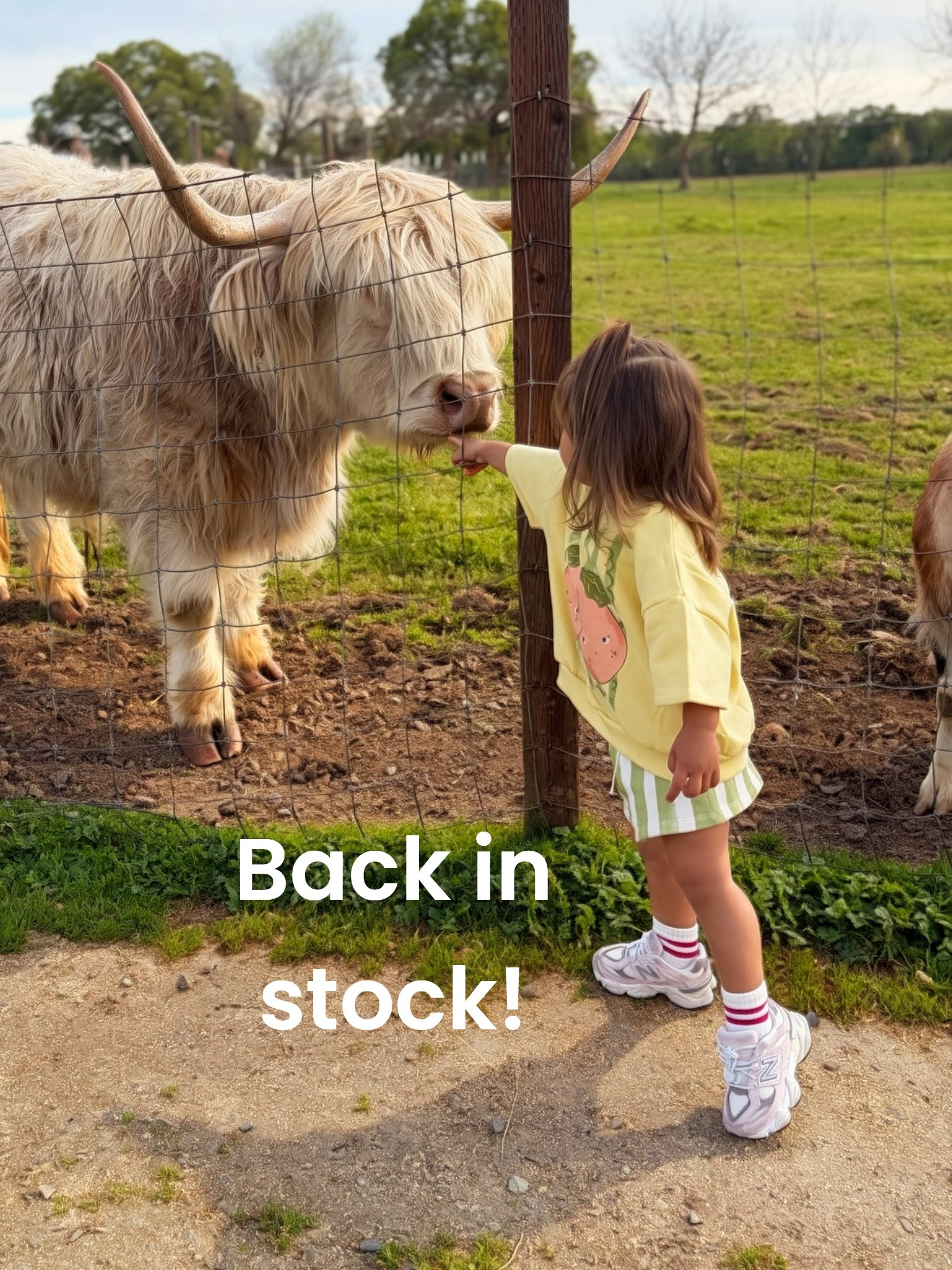 Toddler girl matching set back in stock!

#LTKmomlife #LTKKids #LTKSeasonal