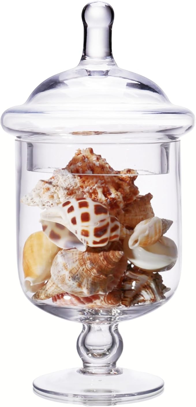 Small Glass Apothecary Jars with Lid, Clear Candy Jar with Lid, Cute Small Decorative Glass Jars ... | Amazon (US)