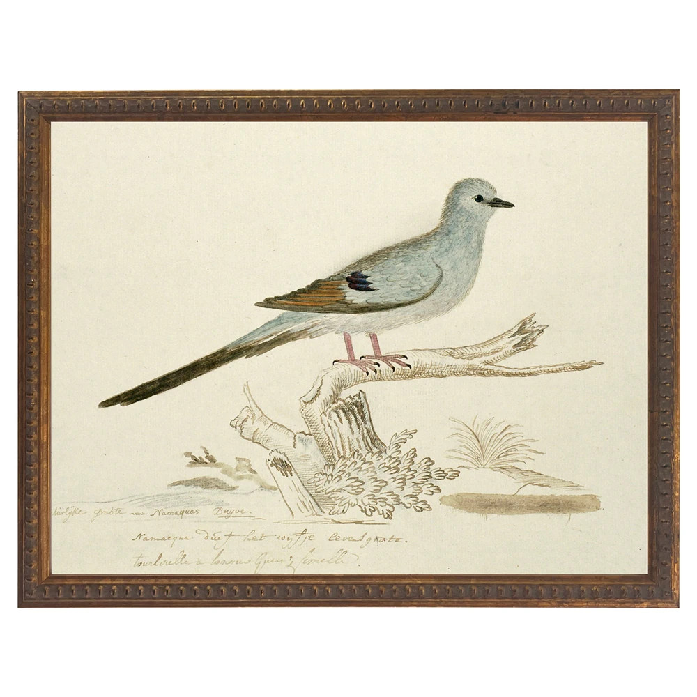 Laurel French Country Light Blue Bird Antique Gold Frame Painting - 8x10 | Kathy Kuo Home