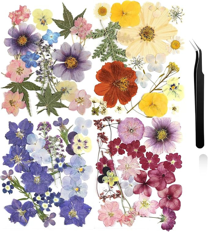 Nuanchu Dried Pressed Flowers for Crafts Resin Pressed Flowers Bulk Purple Dried Wildflowers Leav... | Amazon (US)