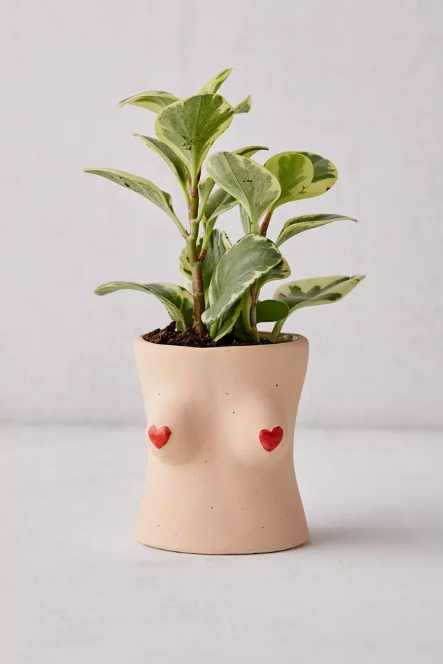 Boob Heart Tassel Planter | Urban Outfitters (US and RoW)