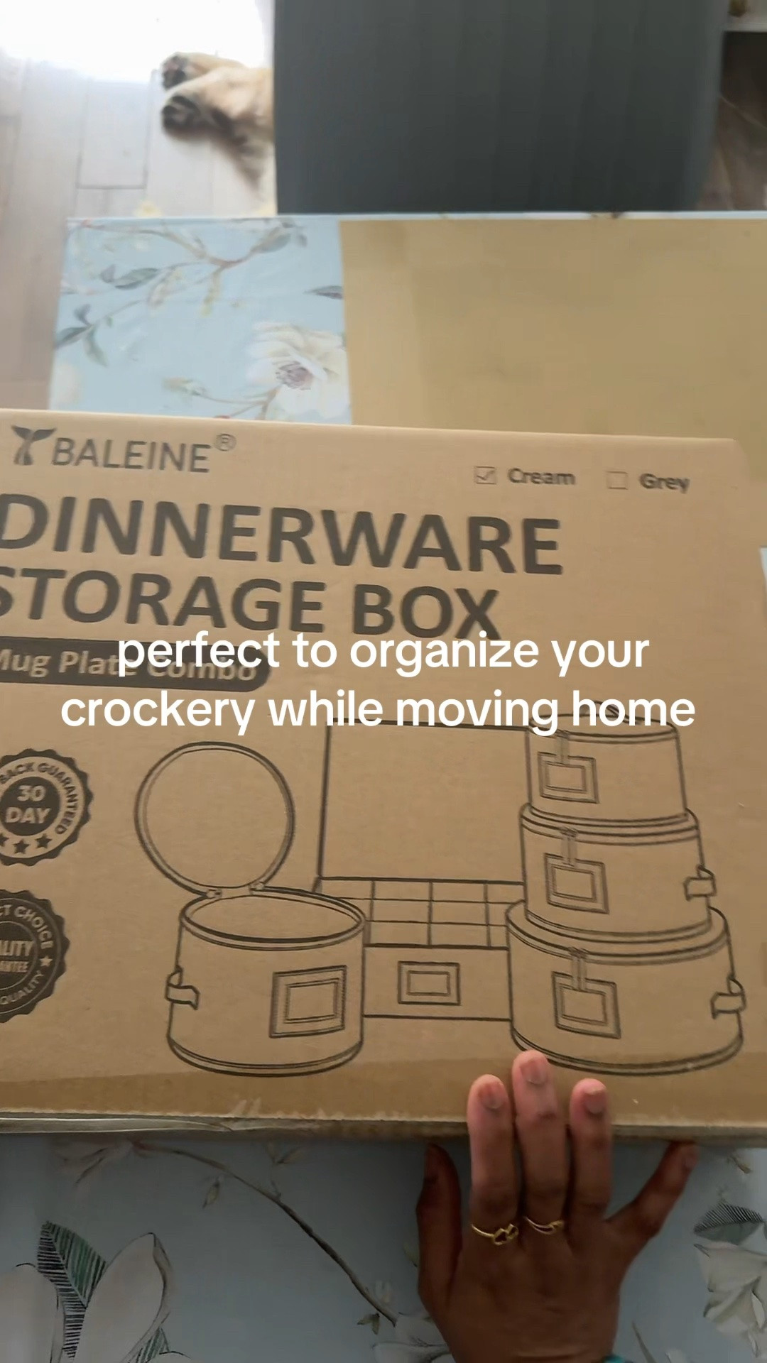 perfect to organize your
crockery while moving home https://bit.ly/4h4ZSNN @Amazon #organizedhome #packing #moving #amazonfinds #amazonfavorites

#LTKmomlife #LTKvlog #LTKHome