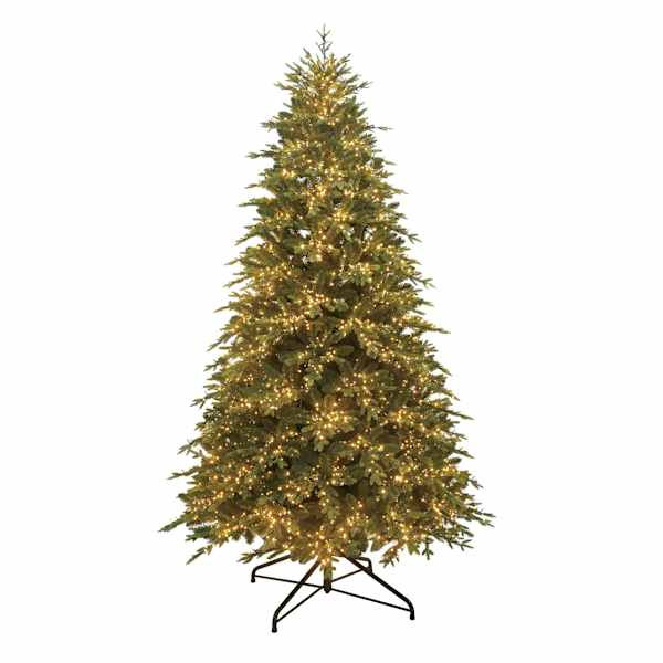 Pre-Lit Bradley Spruce Tree, 9', Green, Plastic, sold by At Home | At Home