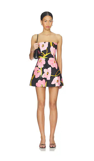 Ines Mini Dress in Marais Bloom Black | Revolve Clothing (Global)