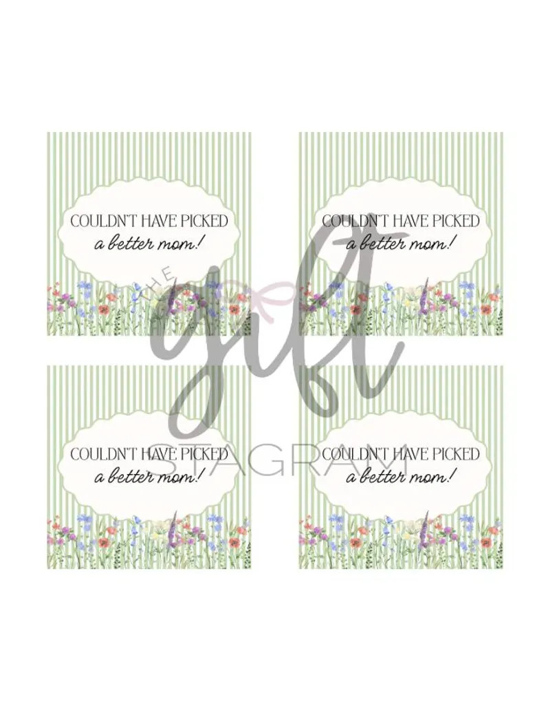 Couldn't Have Picked A Better Mom Gift Tag | DIGITAL DOWNLOAD | Mother's Day Gift Tags | Mother's... | Etsy (US)