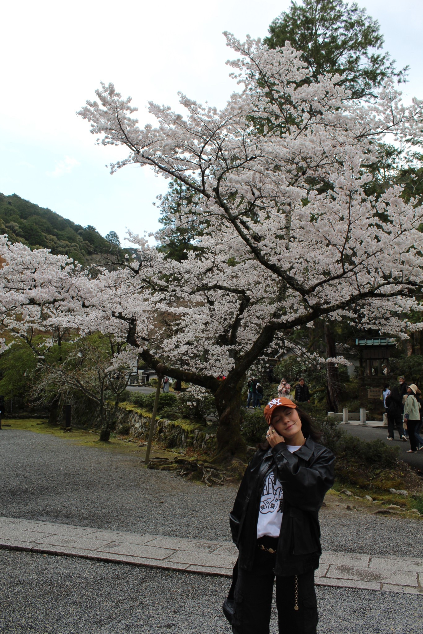 Another Japan outfit coming to you from Kyoto. The cherry blossoms were my favorite thing from traveling during spring. They also made the perfect setting for an outfit pic 

#LTKTravel #LTKActive #LTKStyleTip