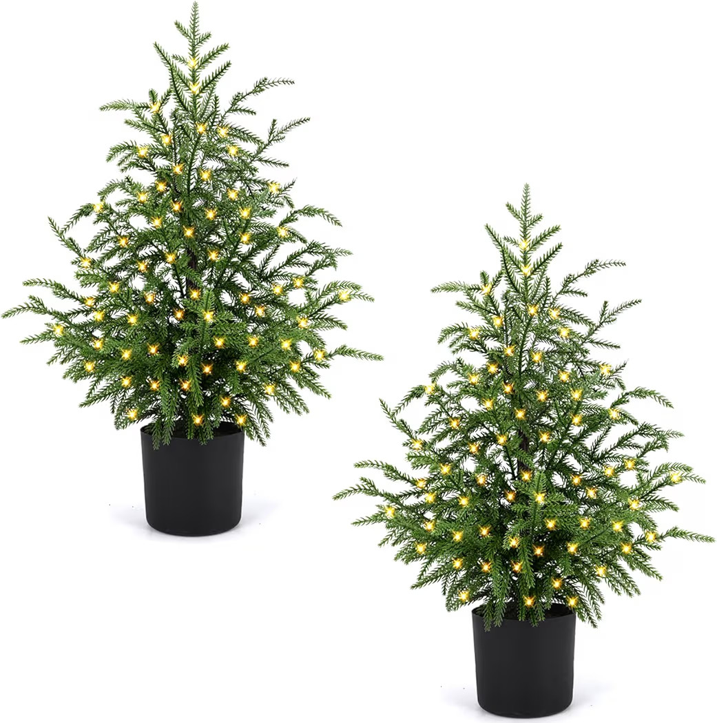 ENVEN 2 Pack Pre-Lit Artificial Norfolk Pine Christmas Trees –2FT Potted Mini Holiday Trees with 50 LED Lights & 8-Mode Battery Box, No Assembly Required, Indoor Christmas Décor | Amazon (CA)