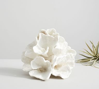 Faux White Wave Coral | Pottery Barn (US)