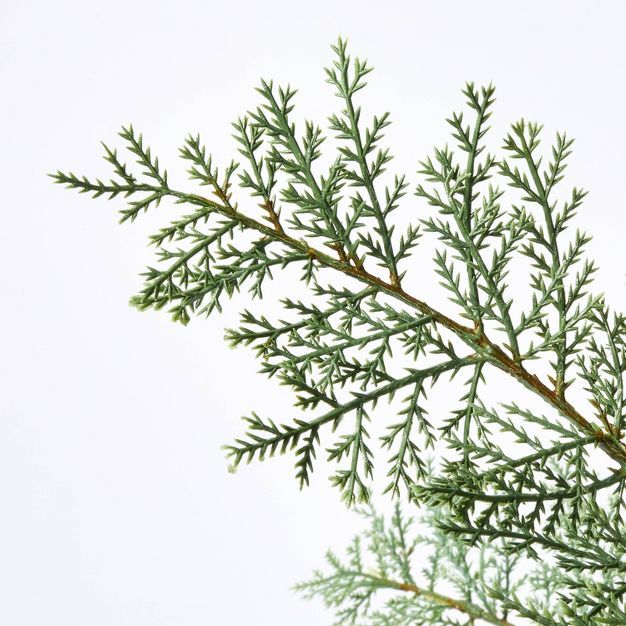 Small Artificial Feathery Pine Tree - Threshold™ designed with Studio McGee | Target