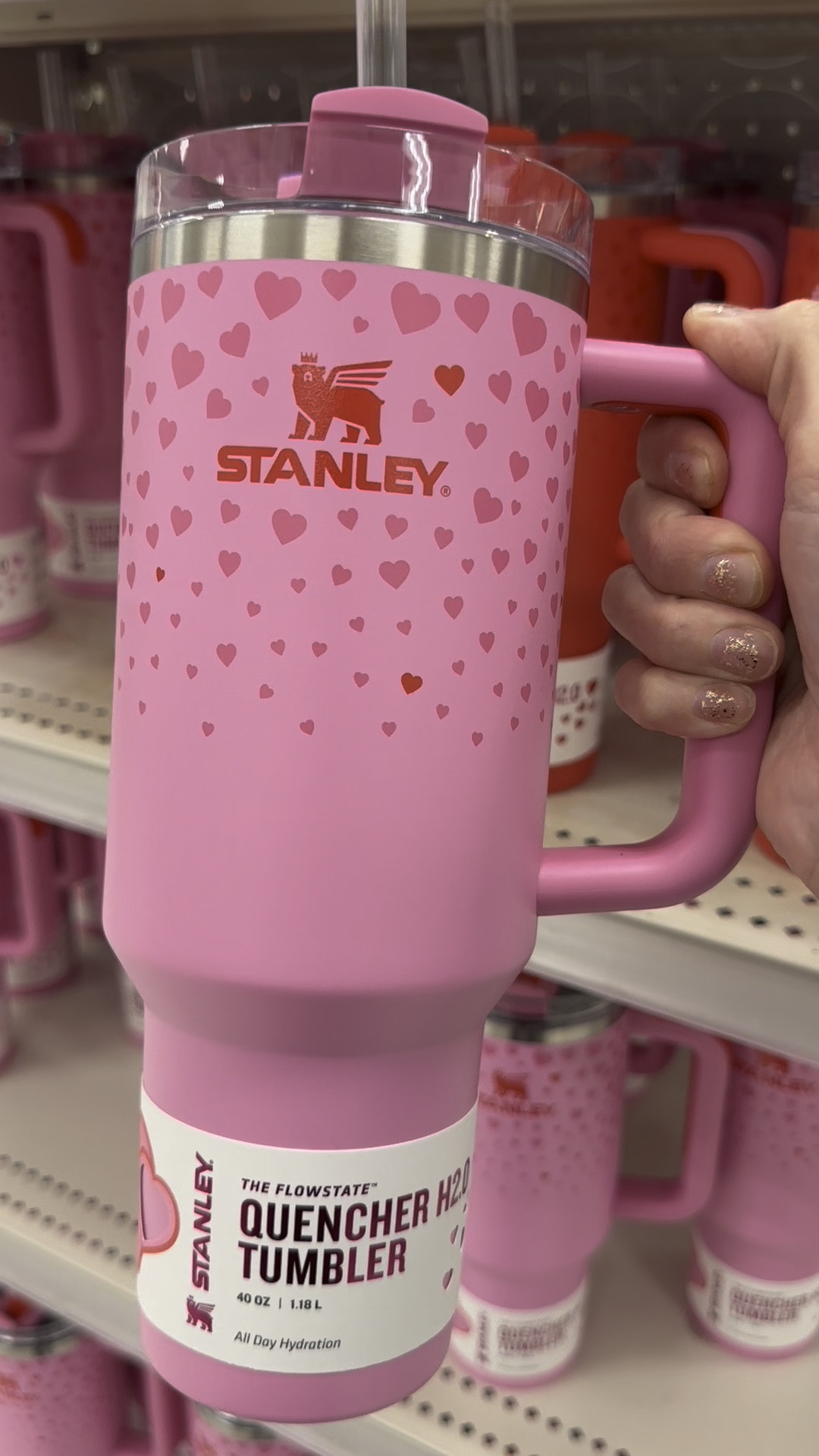 For all my Stanley girls… don’t miss out on these!!! They are too cute and already going fast! 💕

#LTKWatchNow #LTKHome #LTKSeasonal