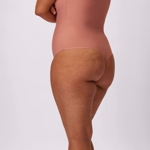 Silky Mesh Long Sleeve Bodysuit | Parade Underwear | $44 | Parade