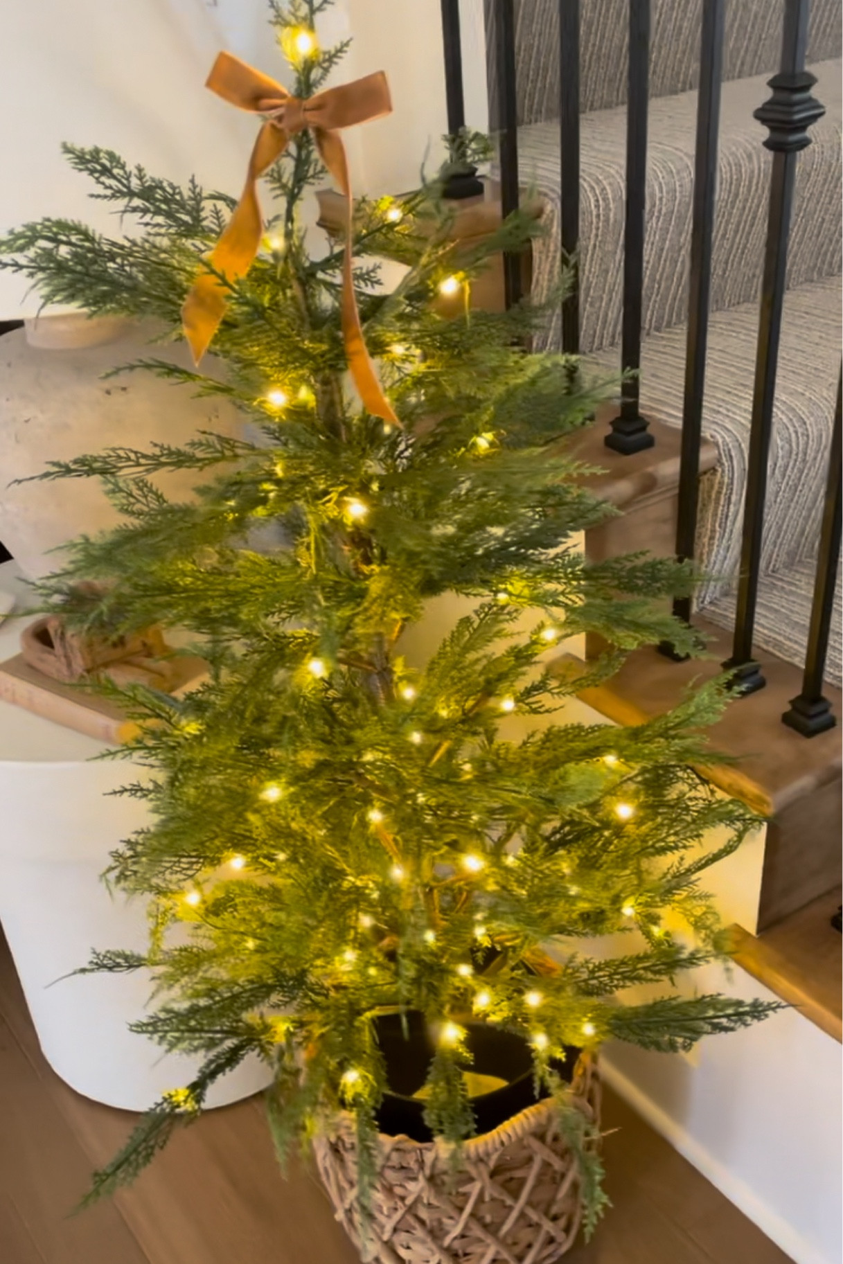 Last years VIRAL cypress tree is back in stock and ready to ship! These flew off the shelves and became absolutely impossible to get!!


#LTKSeasonal #LTKStyleTip #LTKHome