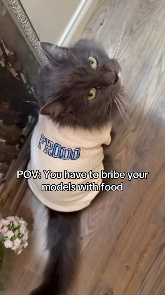 Lots of divas on set this day

#LTKValentine #LTKootd #LTKdayinmylife