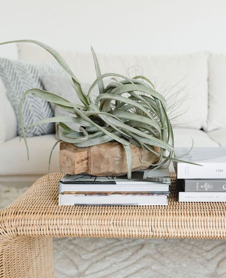Beachy coffee table styling

Rattan coffee table, air plants, books, textured throw pillows, white linen sofa, and large area rug.

Home decor, coffee table decor, home finds, living room, living room decor. 

#LTKFind #LTKhome #LTKunder100