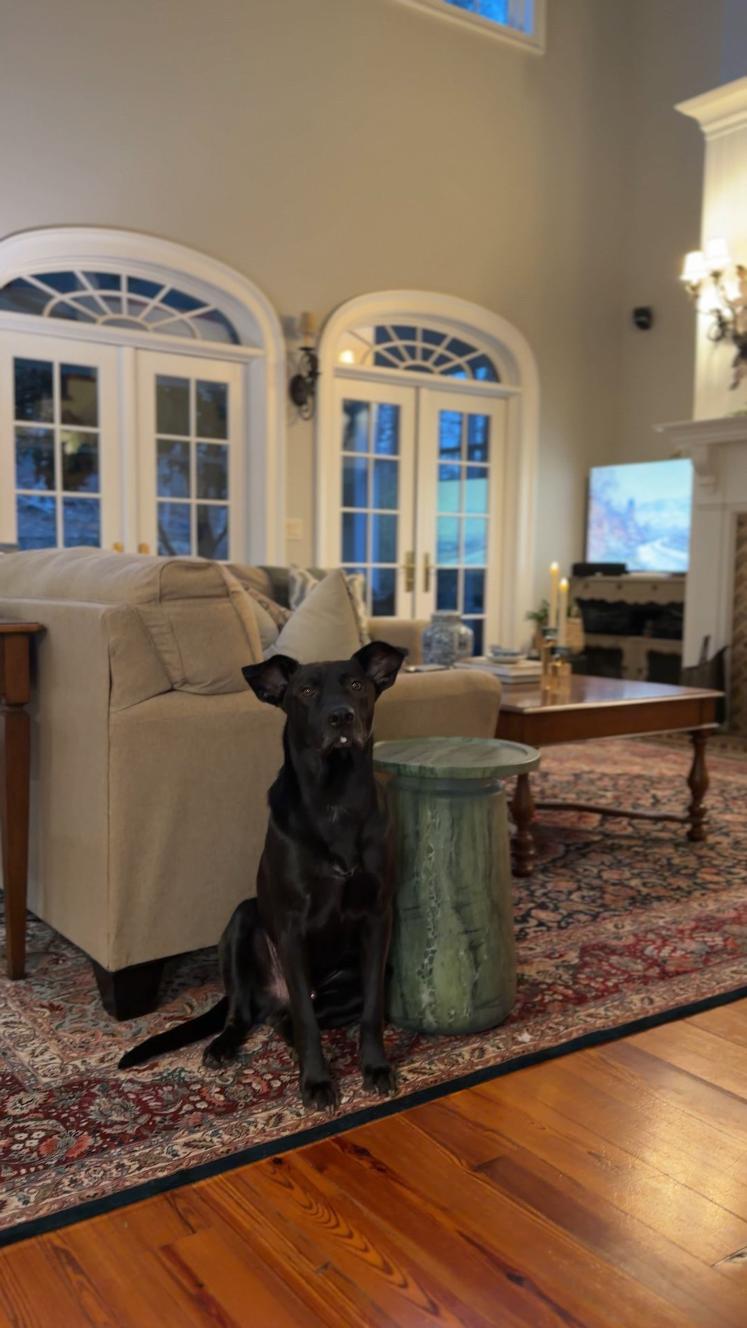 This side table from Z GALLERIE is so good! It’s easily moved, but heavy and never knocked over! 

#LTKHome #LTKdayinmylife