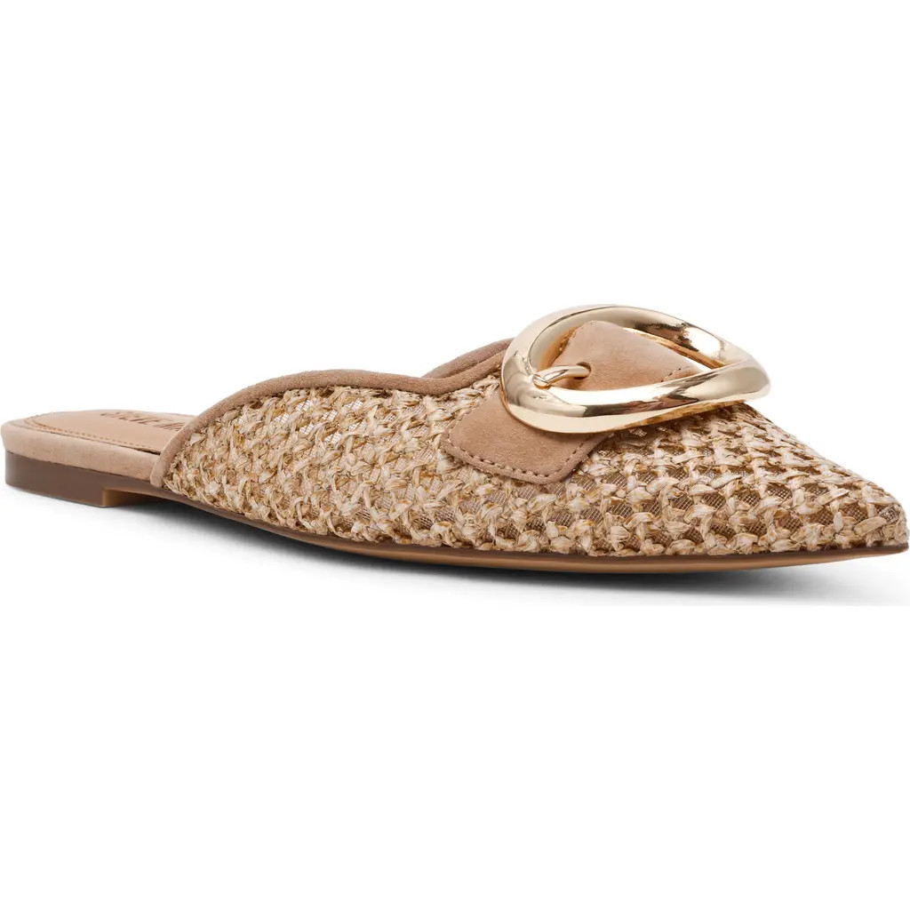Steve Madden Ira Pointed Toe Mule in Raffia at Nordstrom, Size 7.5 | Nordstrom