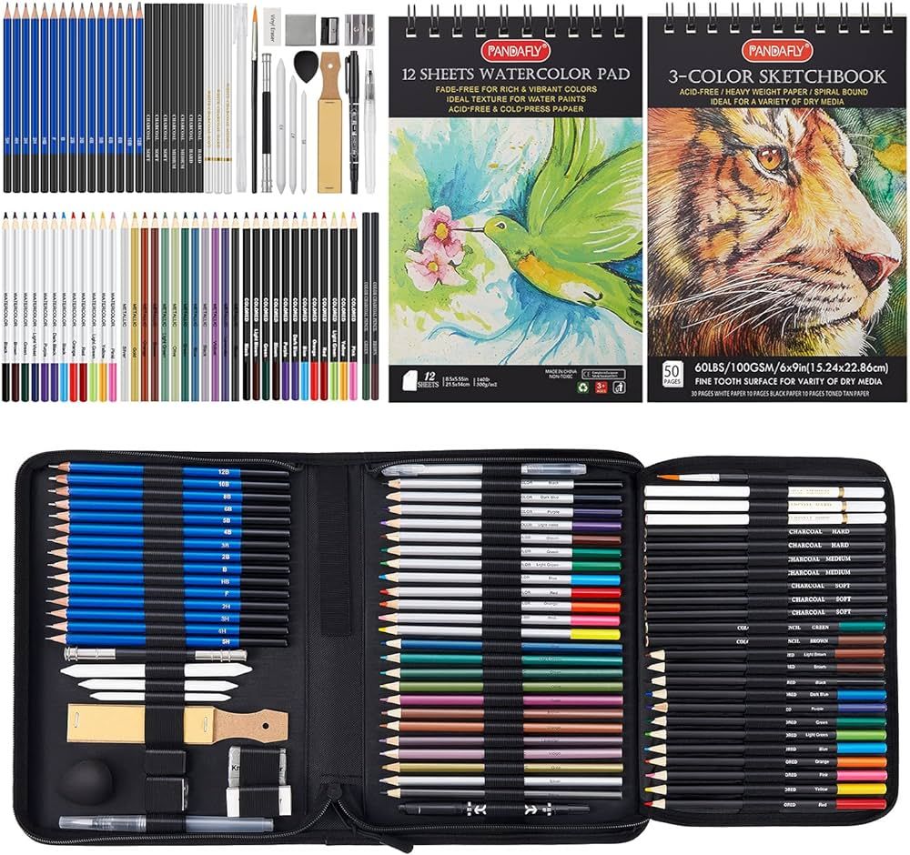 PANDAFLY 80 Pack Drawing Set Sketching Kit, Pro Art Supplies with 3-Color Sketchbook, Watercolor ... | Amazon (US)