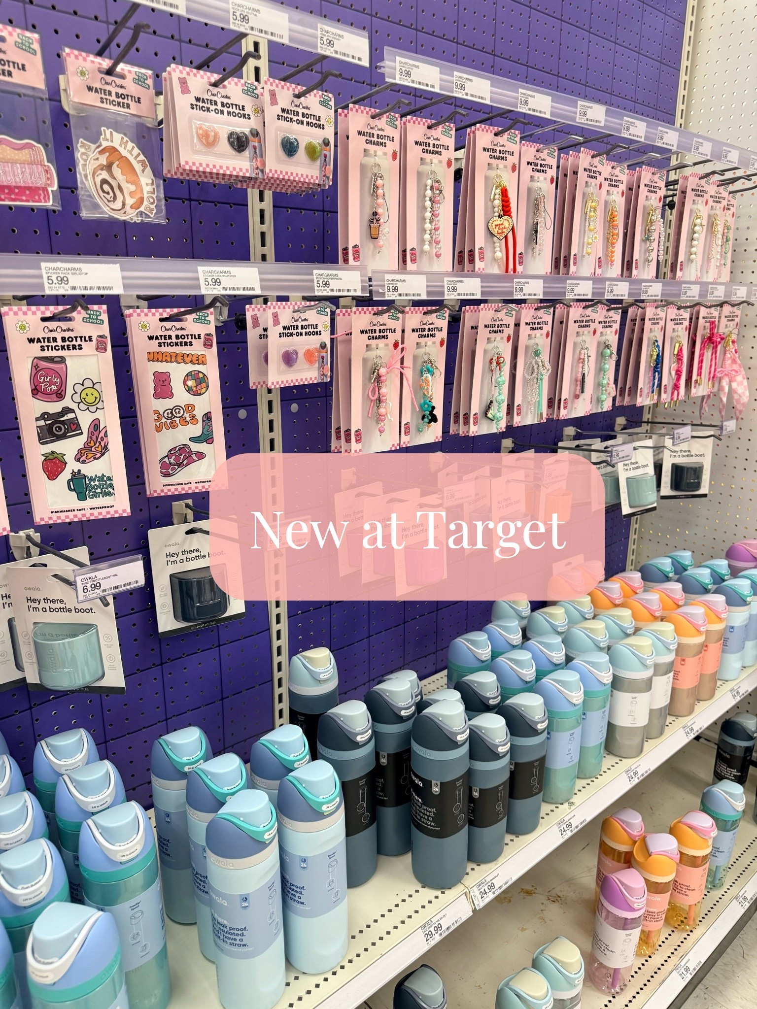 New Target find! 🎯 How cute are these back to school water bottle accessories 😍💕

#LTKmomlife #LTKSeasonal #LTKKids