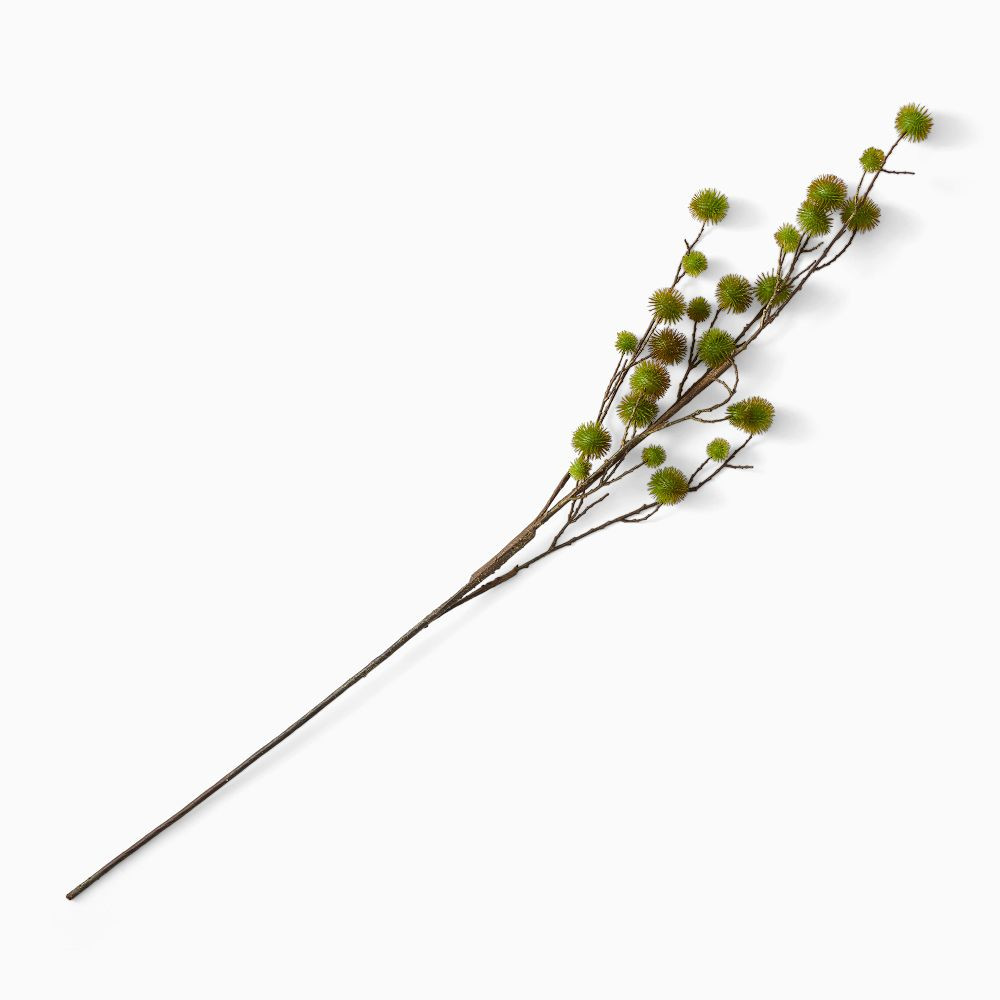 Faux Chestnut Stem | West Elm (US)