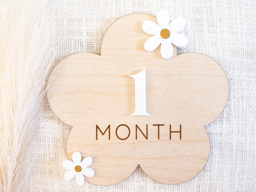 Baby Monthly Milestone Sign Daisy Flower Milestone Card for Baby Girl Newborn Milestone Photos - ... | Etsy (US)