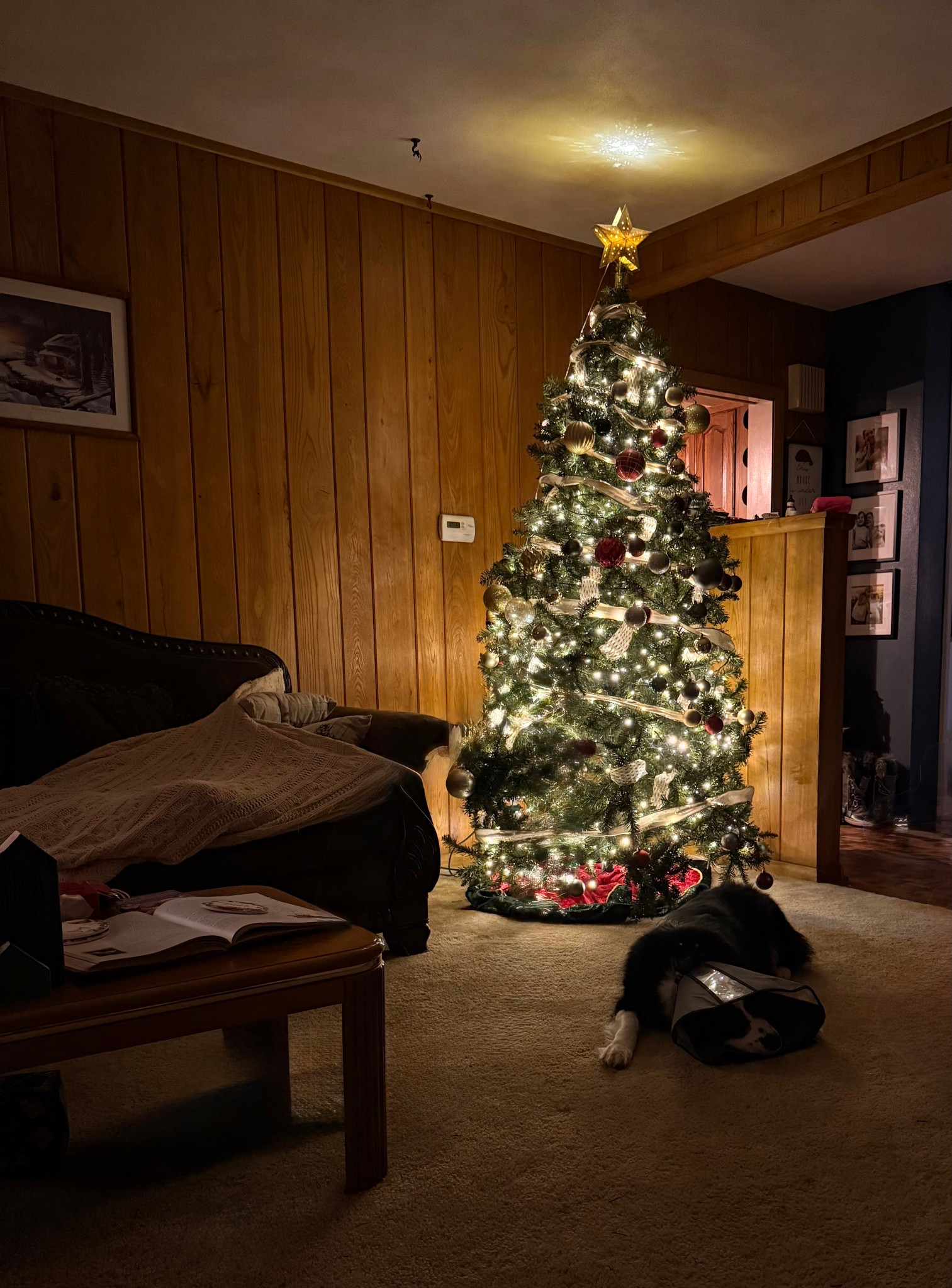 Our Christmas tree is on sale for under $90! This is an unlit, 7.5’ spruce tree. I prefer unlit trees because I think they last longer! 

#LTKHoliday #LTKFindsUnder100 #LTKSeasonal