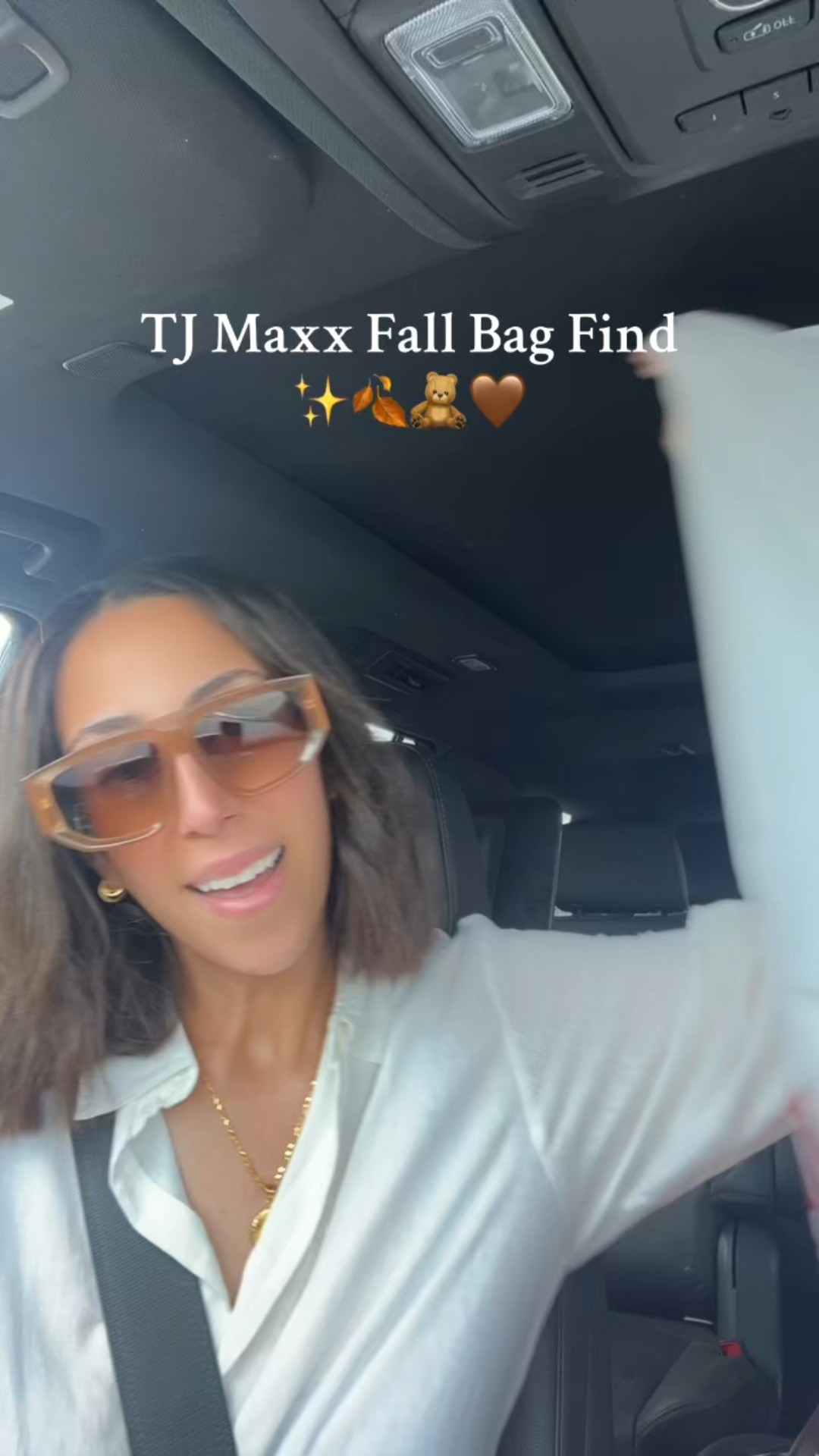 Fall It Bag 🤎brown

#LTKItBag #LTKFindsUnder100 #LTKFallSale