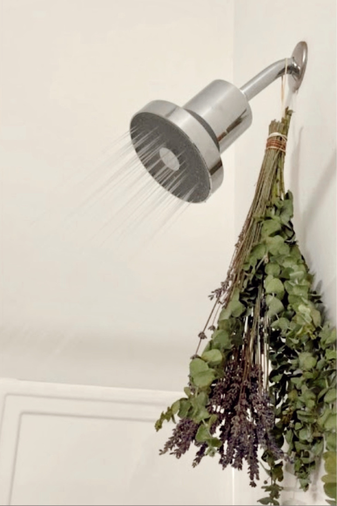 Worth the splurge! new level of clean with Jolie Filtered Showerhead, removing impurities for softer skin and silkier hair

#jolie #metime #selfcare 

#LTKHome #LTKStyleTip #LTKFamily #LTKBeauty