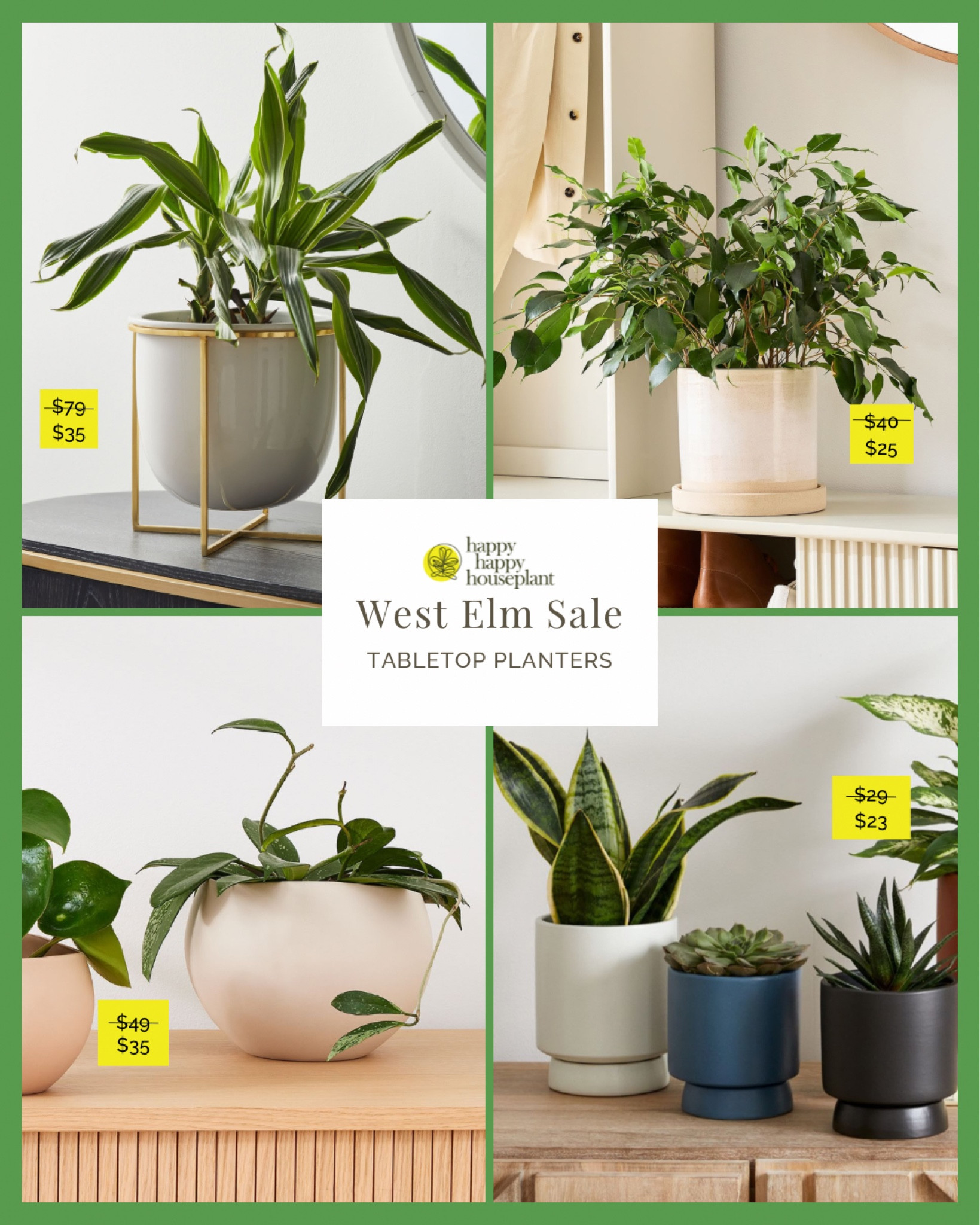 Our favorite tabletop planters from the West Elm sale. All of them are under $35!

#LTKfindsunder50 #LTKsalealert #LTKhome