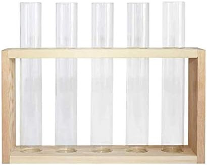 Banord Desktop Glass Terrarium, Wall Hanging Glass Planter with 5 Modern Test Tubes in Wood Stand, T | Amazon (US)