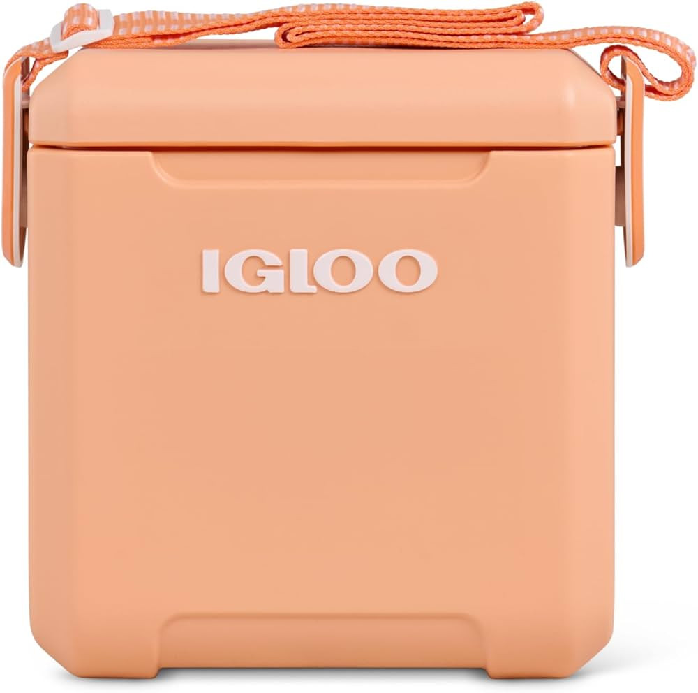 Igloo 11 Qt Tag Along Too Strapped Picnic Style Cooler | Amazon (US)