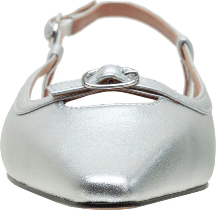 Cassidy Pointed Toe Slingback Flat (Women) | Nordstrom Rack