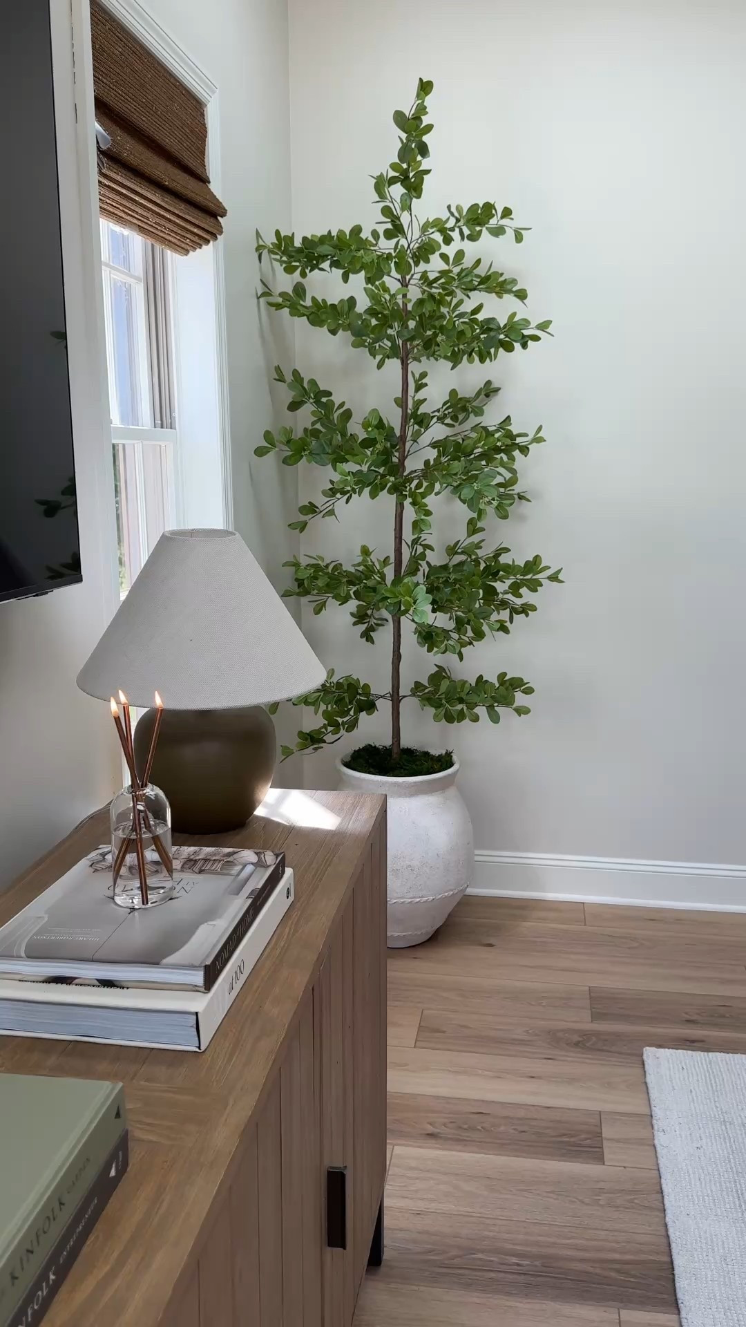 Amazon black olive tree 

#LTKFindsUnder100 #LTKHome #LTKSaleAlert