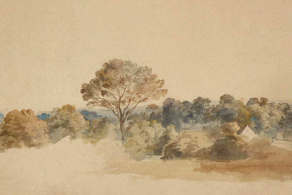 Treeline | Juniper Print Shop