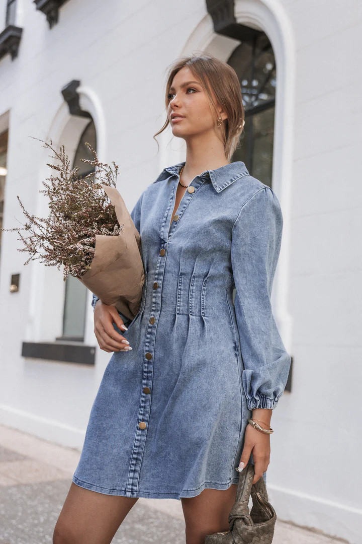 Phoenix Long Sleeve Mini Dress - Denim | Petal & Pup (US)