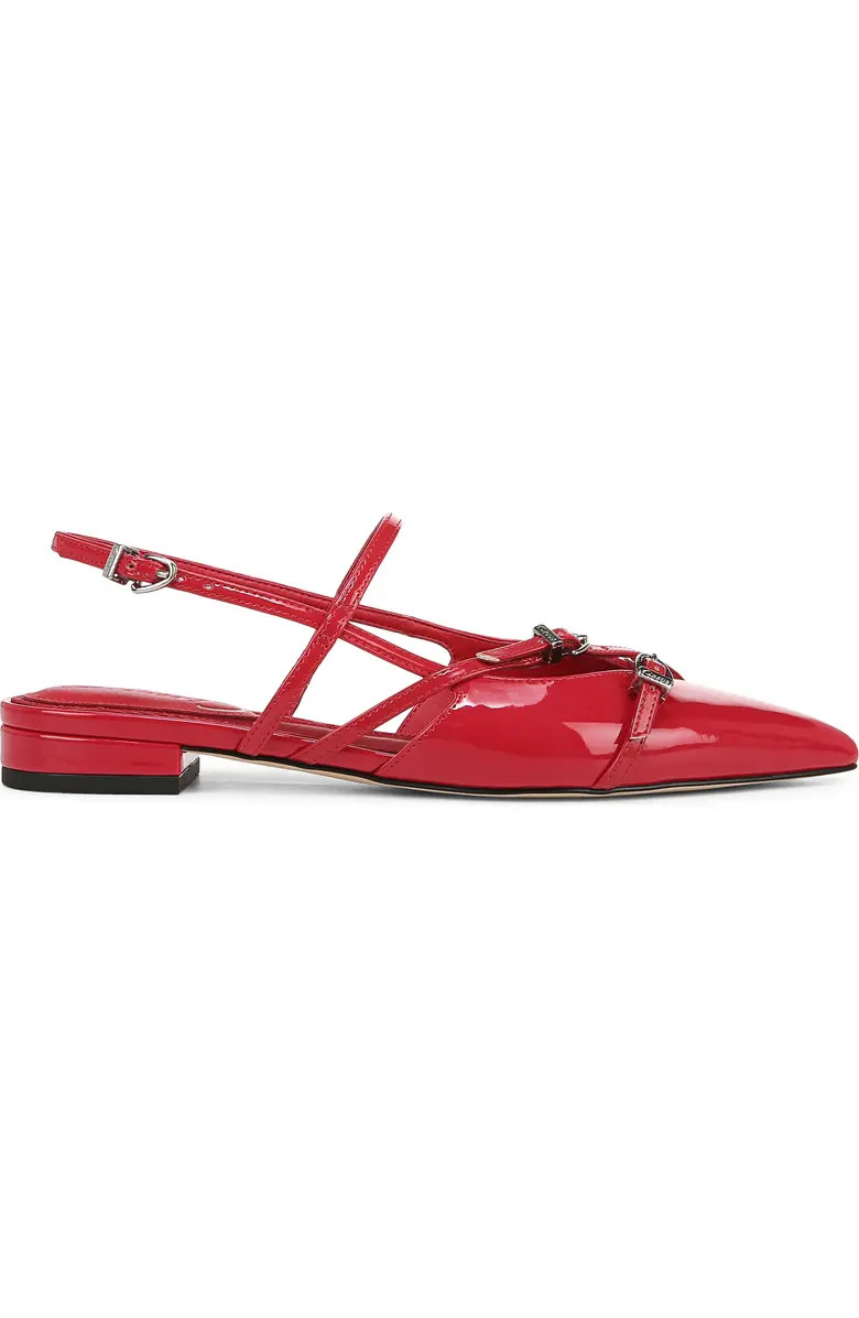 Circus NY by Sam Edelman Lindley Pointed Toe Slingback Sandal (Women) | Nordstrom | Nordstrom