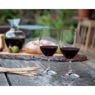 RIEDEL Ouverture Magnum Wine Glass | Wayfair North America